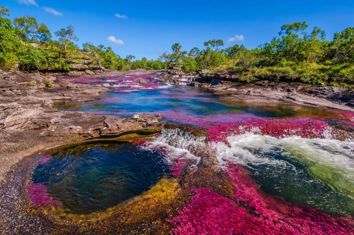 Hauptabschnitt des Caño Cristales mit seinen leuchtenden Farben