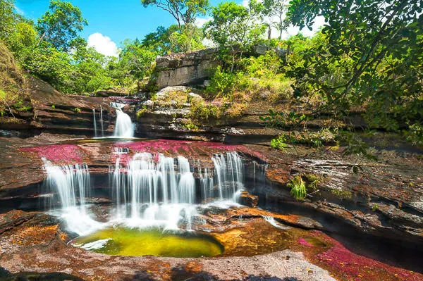 Caño Cristales