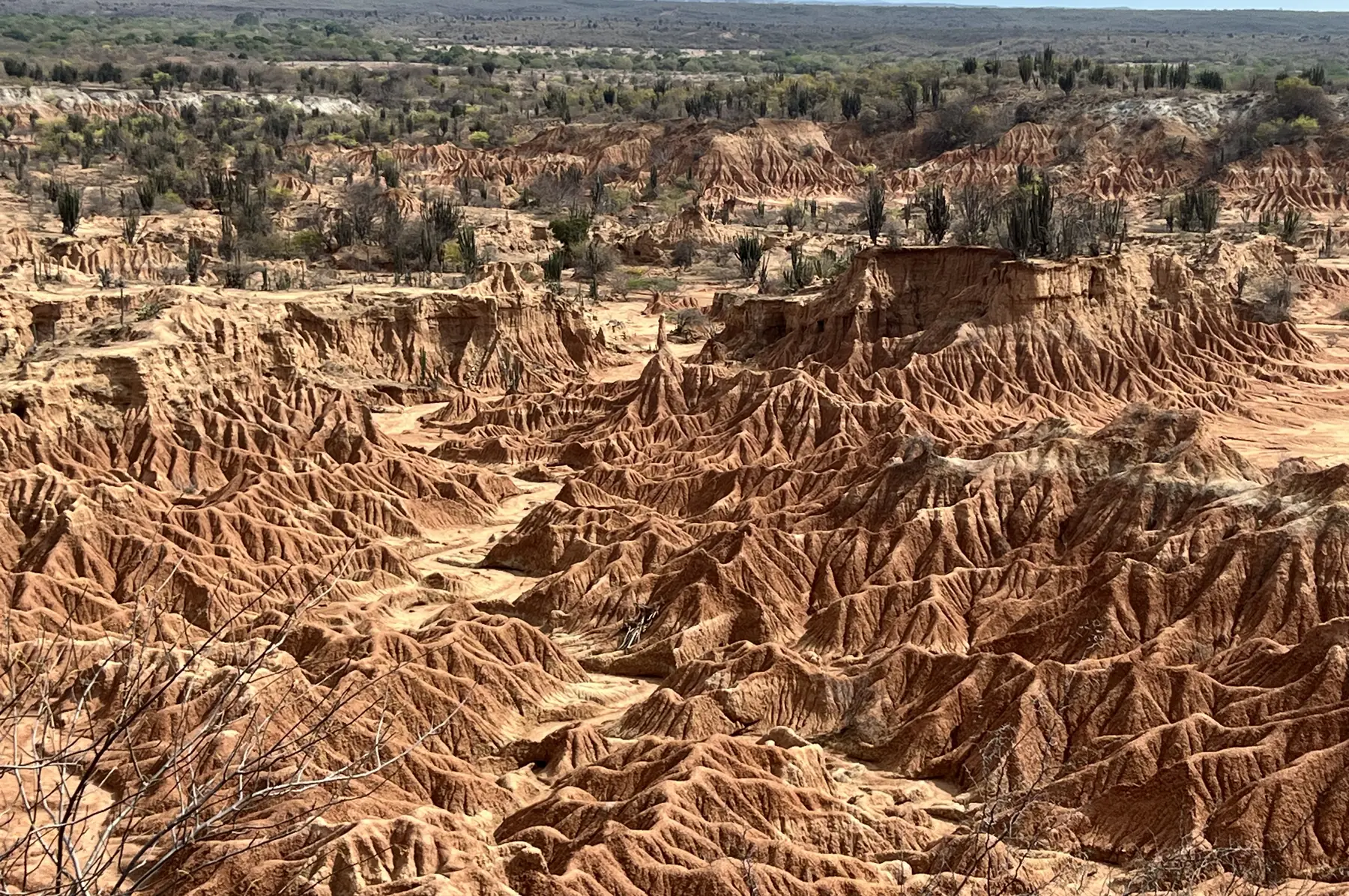 Desierto de la Tatacoa