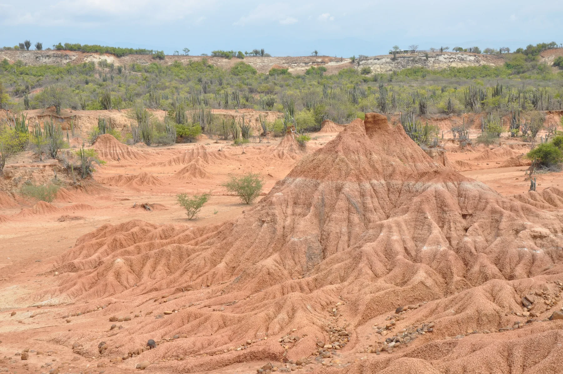 Formaciones rojizas del Desierto de la Tatacoa en el Huila