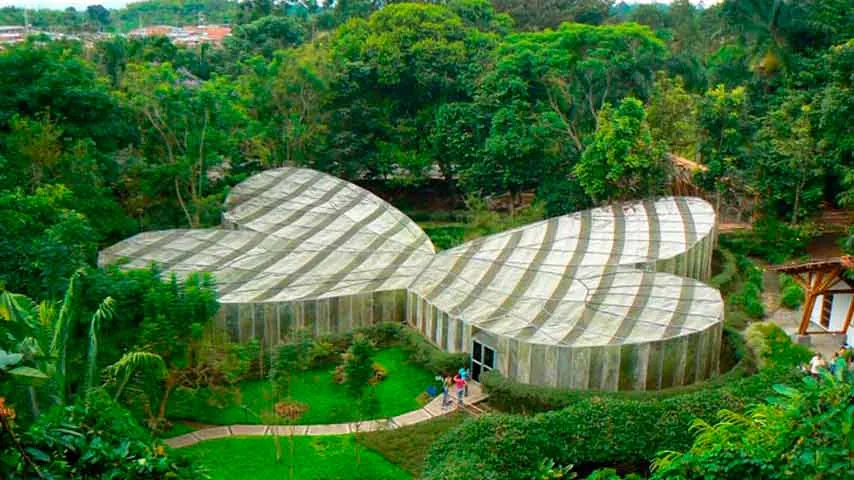 Panoramic view of the Quindío Botanical Garden