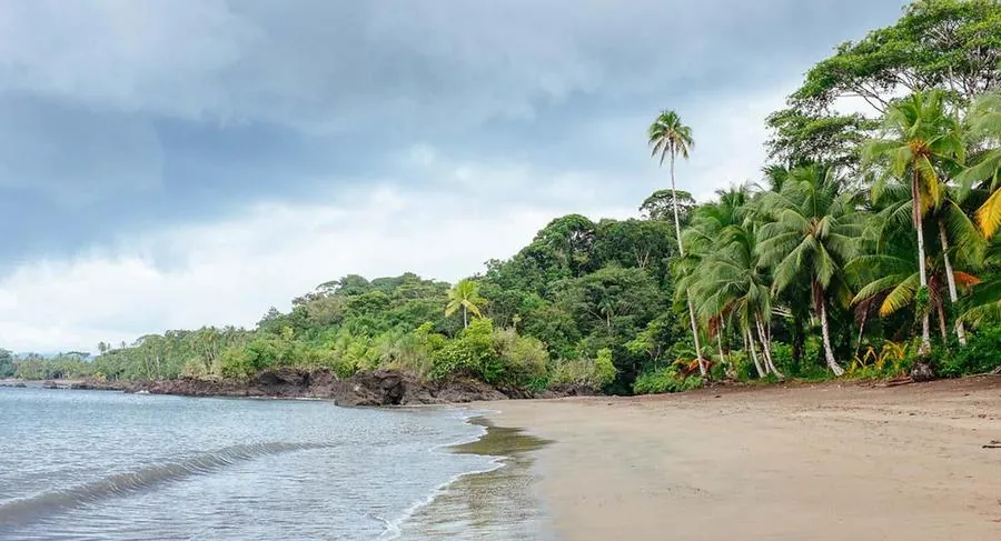 Pacífico Biodiverso