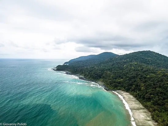 Isla Gorgona con su densa selva tropical y playas de arena blanca