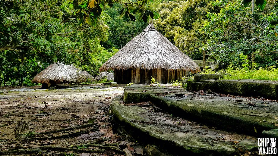 Ruinas arqueológicas de Pueblito en medio de la selva