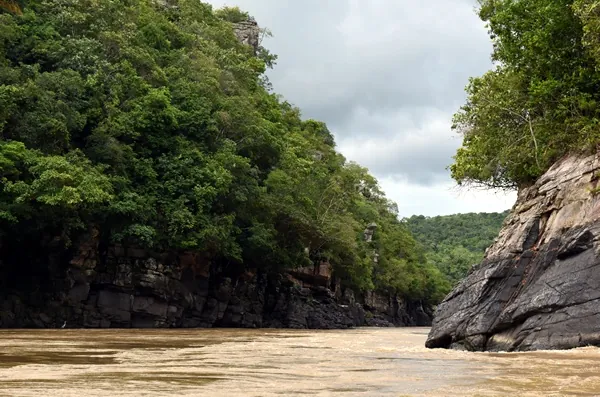 Der Río Guayabero mit seiner üppigen Ufervegetation