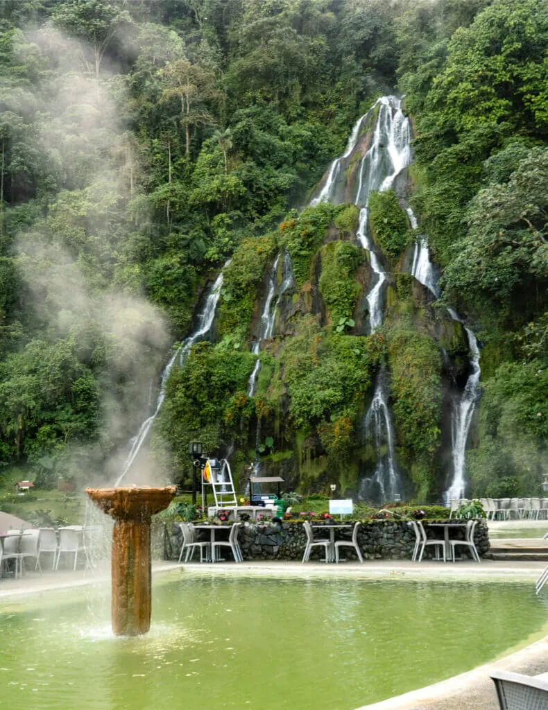 Hot springs surrounded by lush vegetation